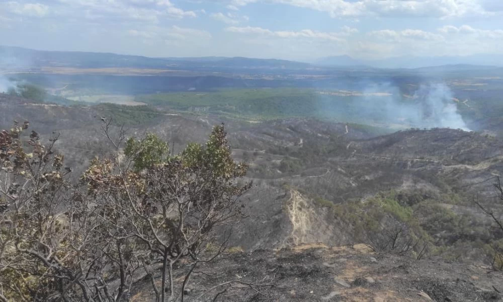 Γρεβενά: Υπό έλεγχο η φωτιά στα Βέντζια-Ξανά γεμίζουν τα εκκενωμένα χωριά